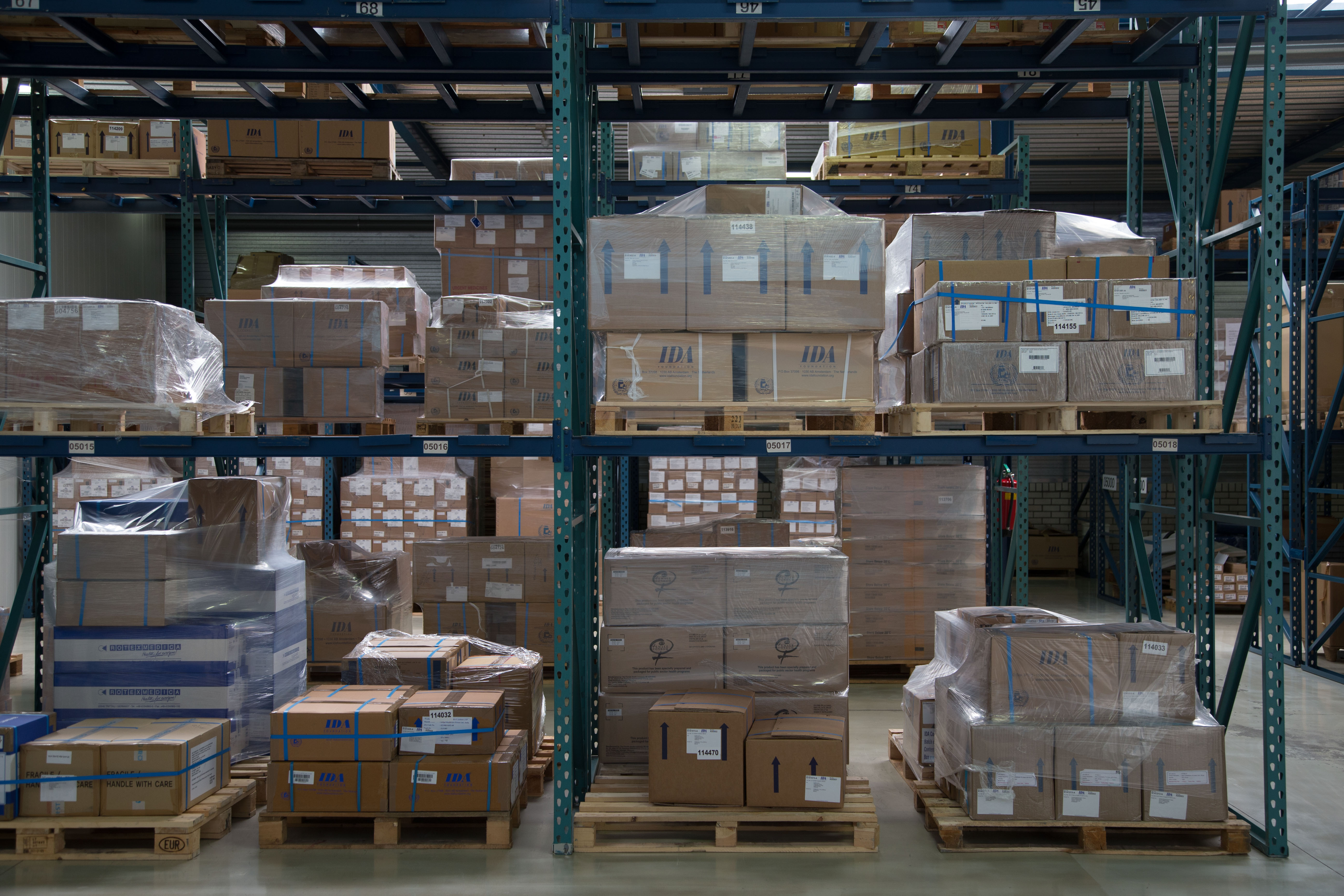 Free shipping until the end of the year Blog